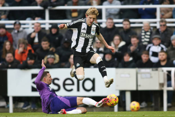 在祖国的土 在祖国的土